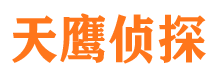 乐清市调查公司